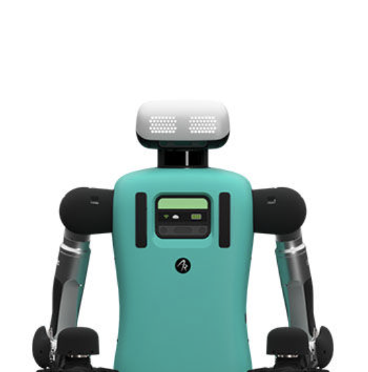 Digit (2025 production version) by Agility Robotics