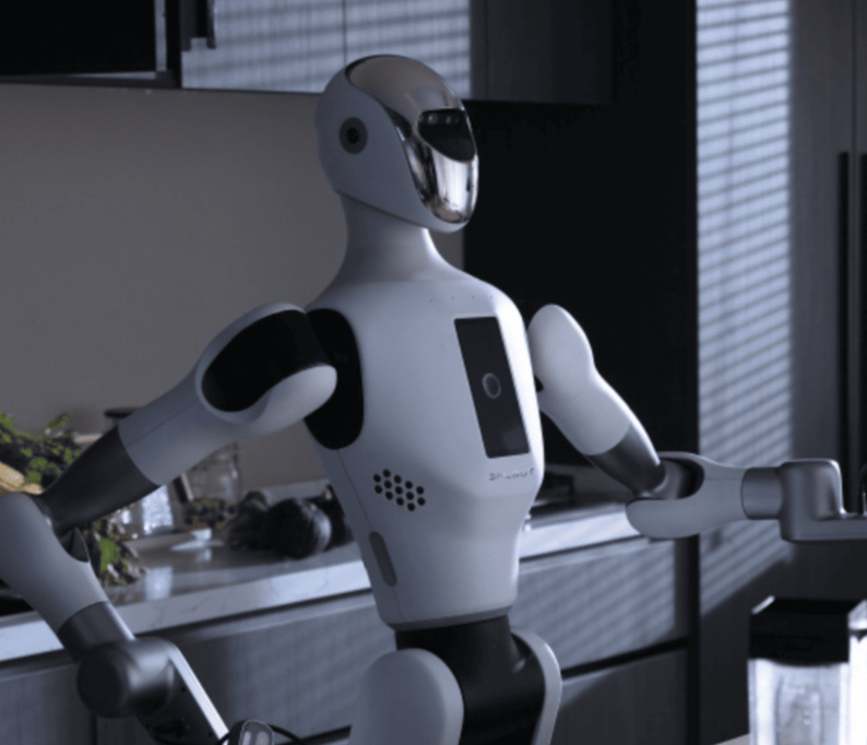 GALBOT by Beijing Galaxy General Robot Co.