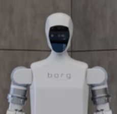 Borg 01 by Borg Robotics