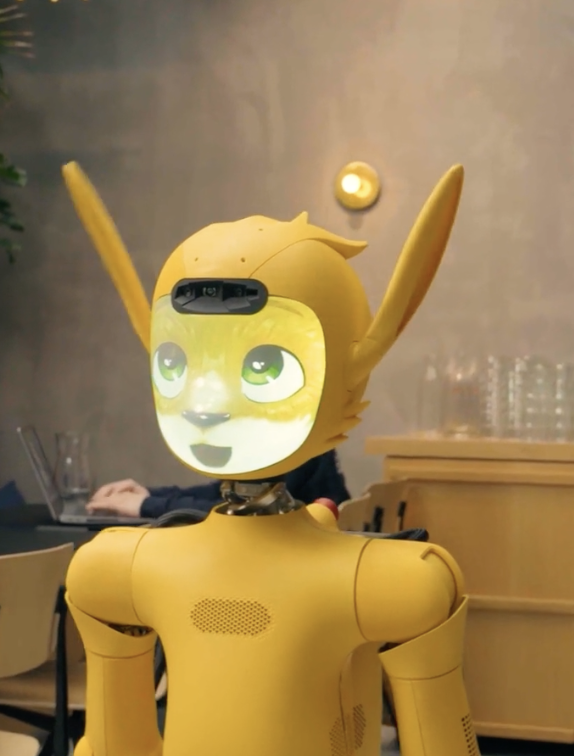 Mirokaï ES by Enchanted Tools